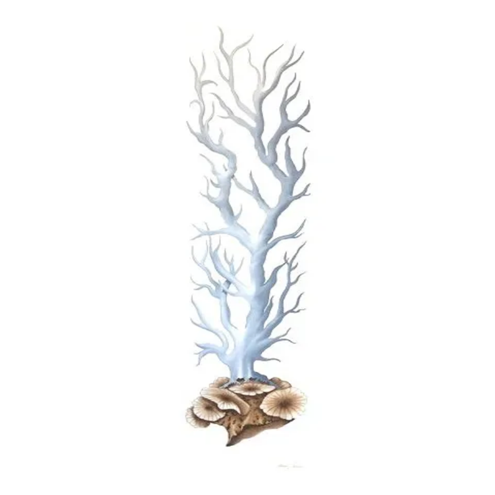 Capri Coral I - Size 20"X60"