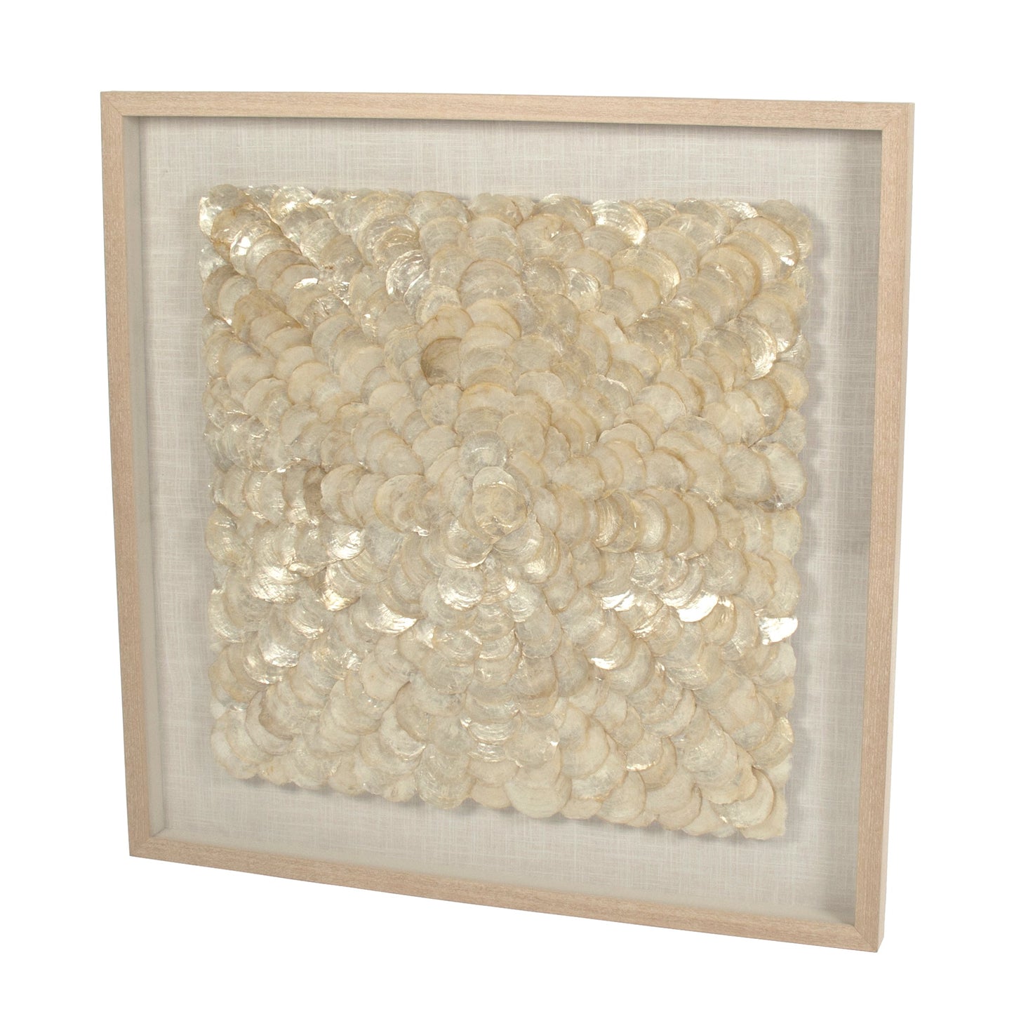 Abstract Shell Art