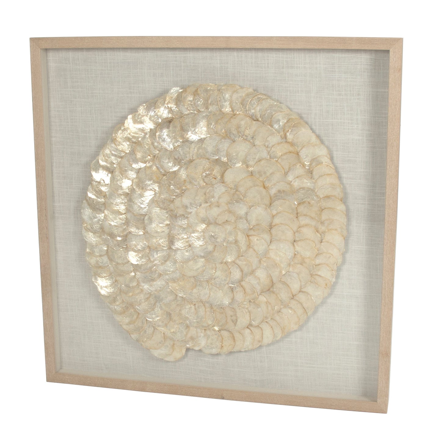 Abstract Shell Art