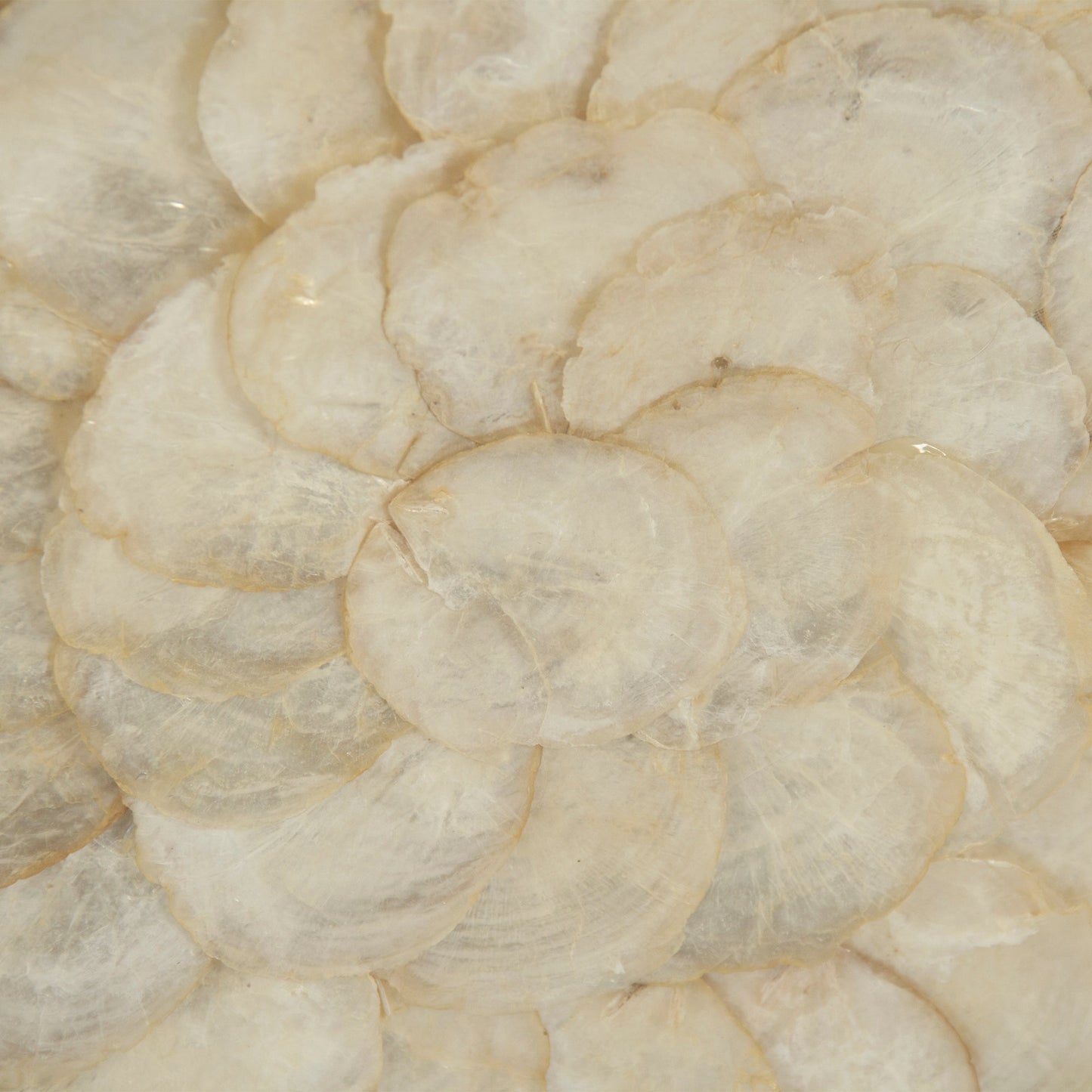 Abstract Shell Art