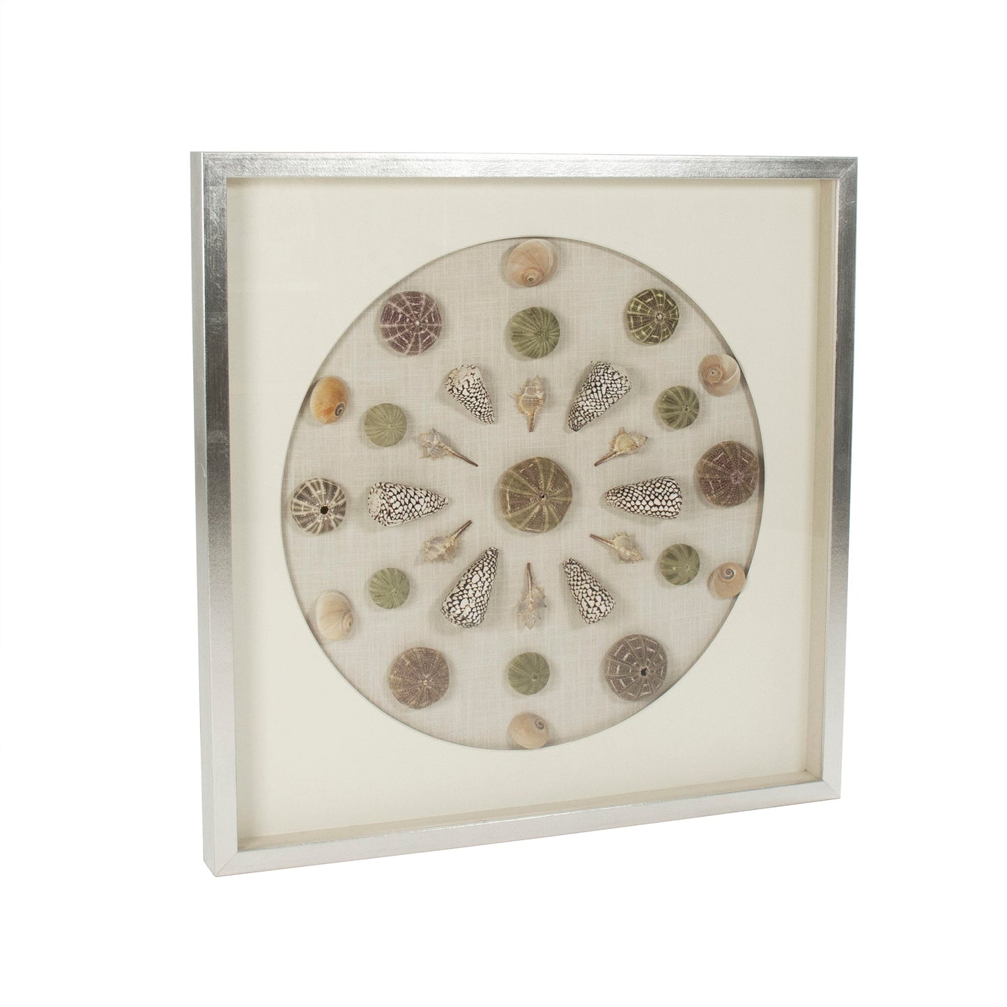Abstract Shell Wall Art