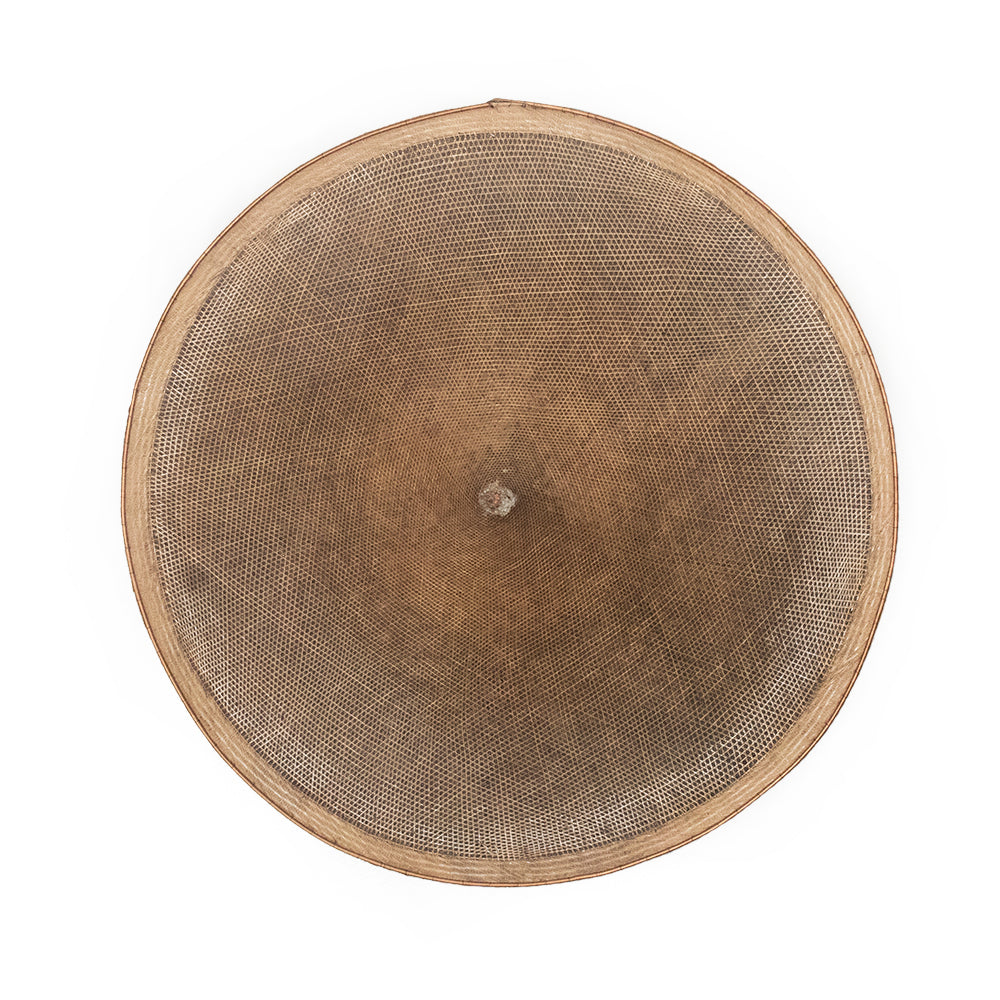 Francesca Wall Sconce