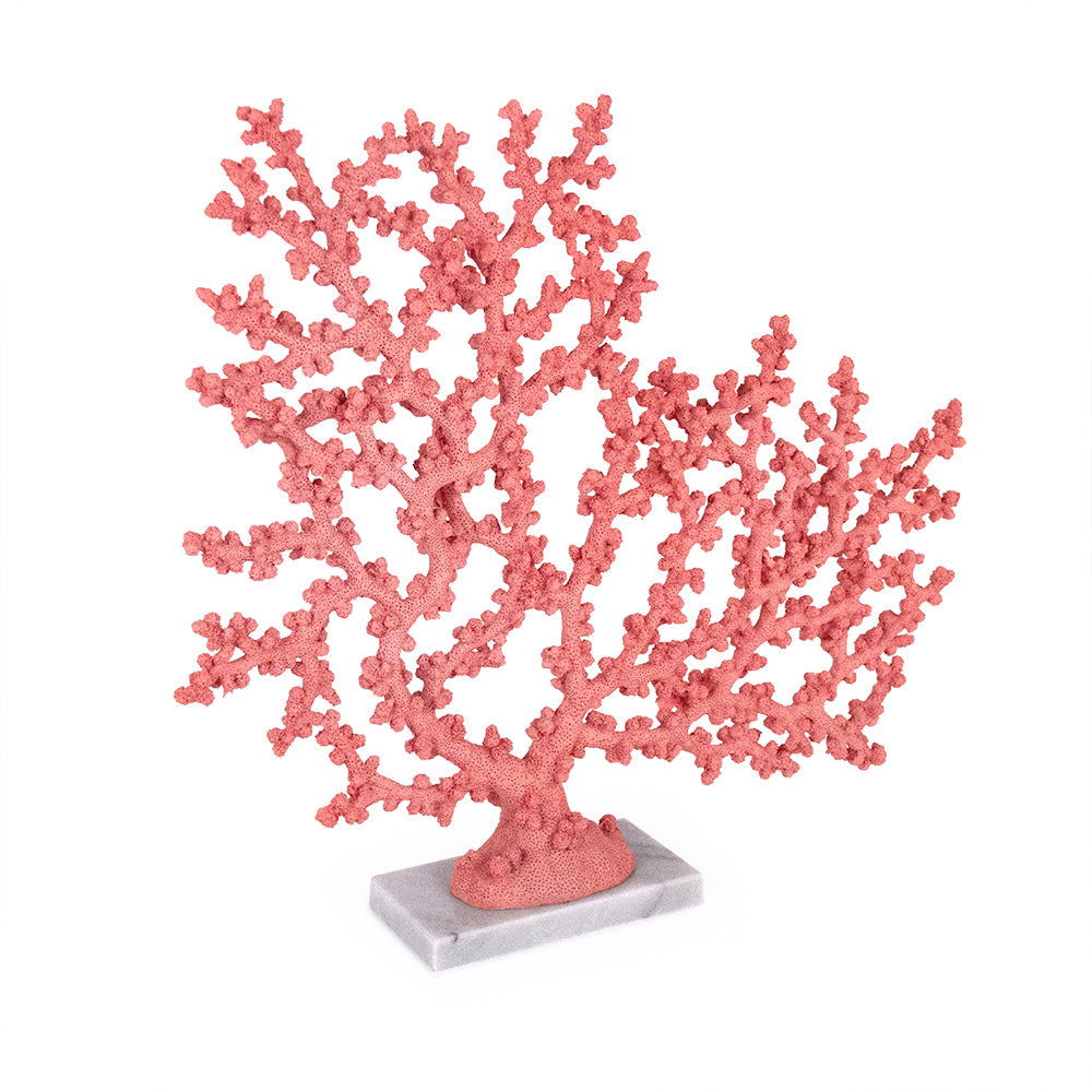 Coral Accent Decor