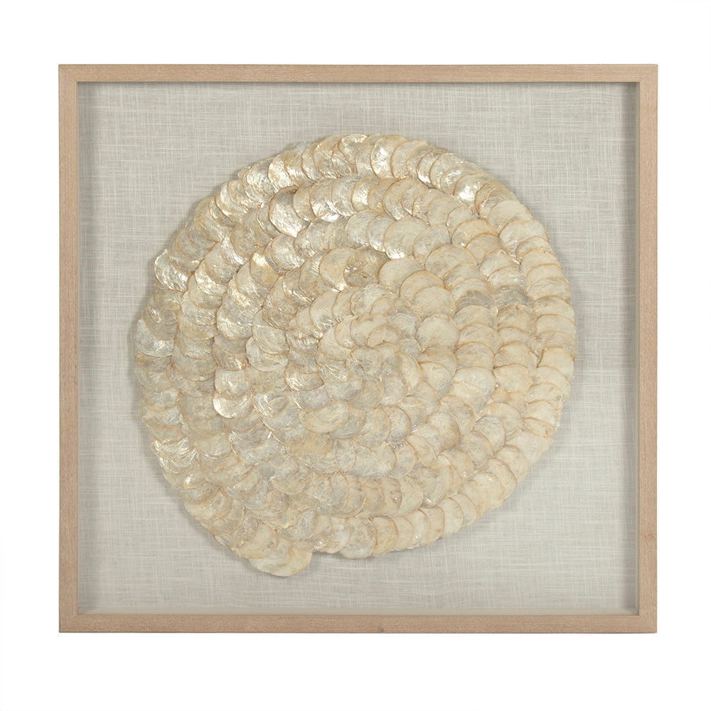 Abstract Shell Art