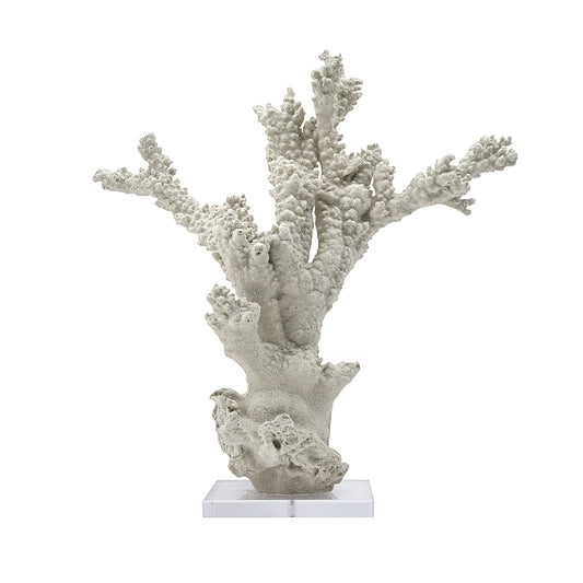 Off-White Resin Coral on Acrylic Base
