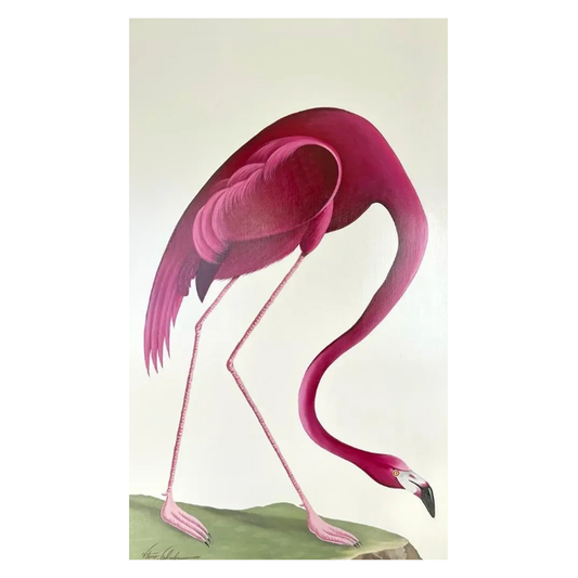 Flamingo Imperial ll - Size 36"X60"