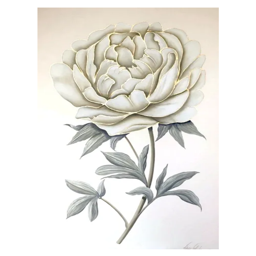 Peony Golden Edge II - Size 36"X60"