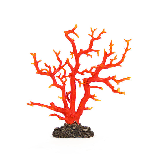 Red Coral