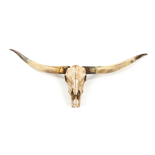 texas wall decor wild wild west decor