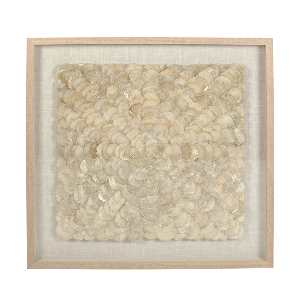 Abstract Shell Art